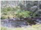 Lot 8 DP755852 Tooma Road, Tumbarumba NSW 2653