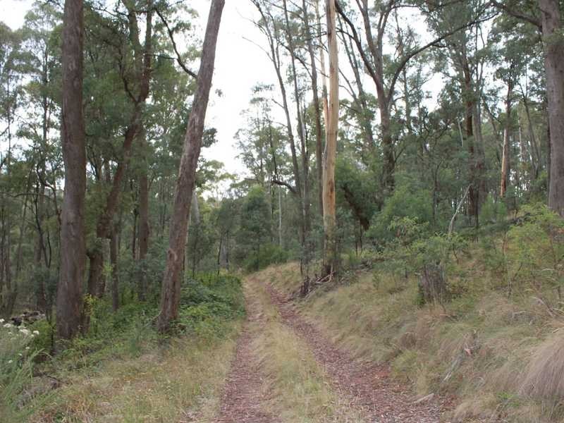 Lot 8 DP755852 Tooma Road, Tumbarumba NSW 2653