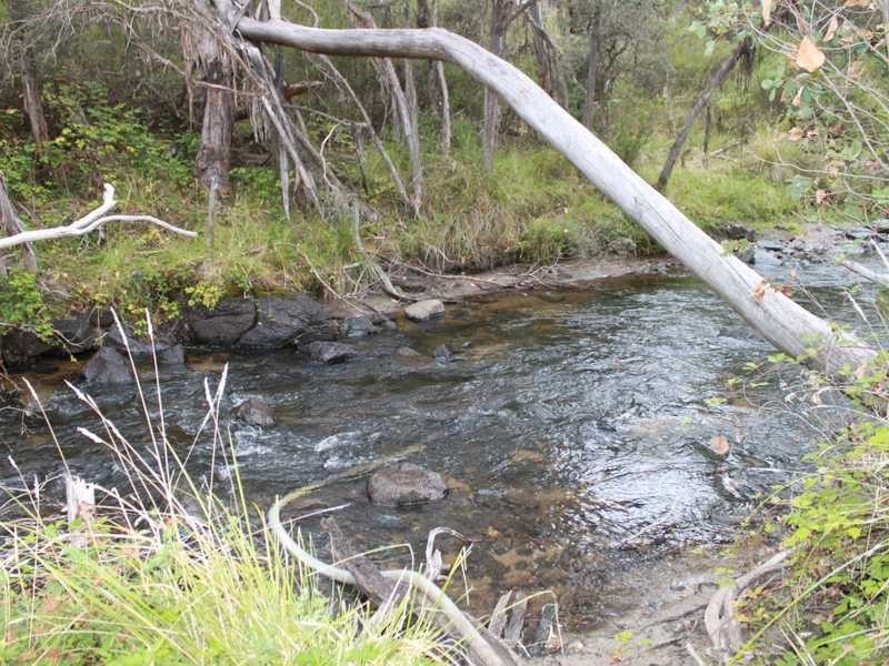 Lot 8 DP755852 Tooma Road, Tumbarumba NSW 2653