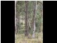 Lot 8 DP755852 Tooma Road, Tumbarumba NSW 2653