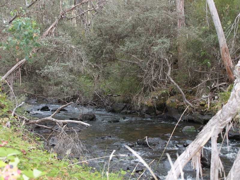 Lot 8 DP755852 Tooma Road, Tumbarumba NSW 2653