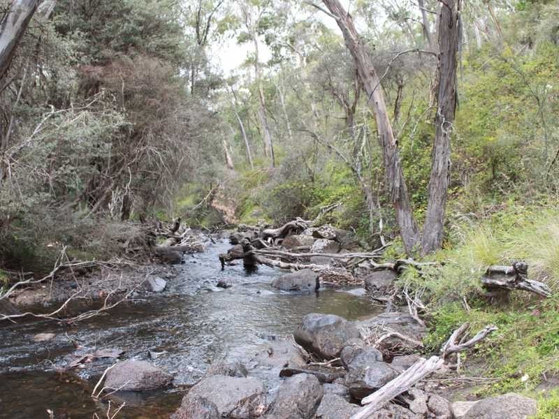 Lot 8 DP755852 Tooma Road, Tumbarumba NSW 2653