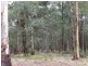 Lot 8 DP755852 Tooma Road, Tumbarumba NSW 2653