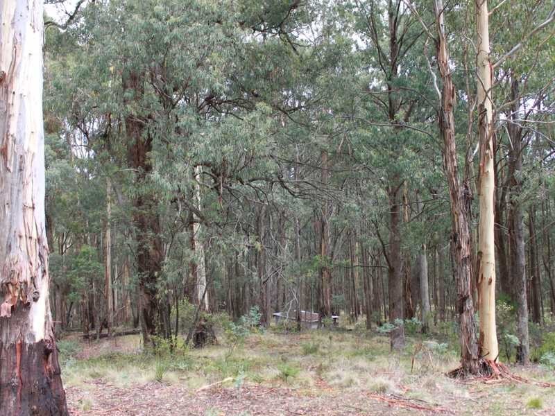 Lot 8 DP755852 Tooma Road, Tumbarumba NSW 2653
