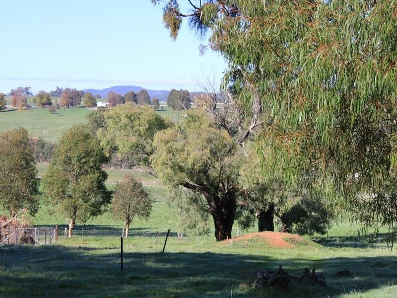 1/17 William Street, Tumbarumba NSW 2653