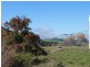 1299 Ournie Road, Tumbarumba NSW 2653