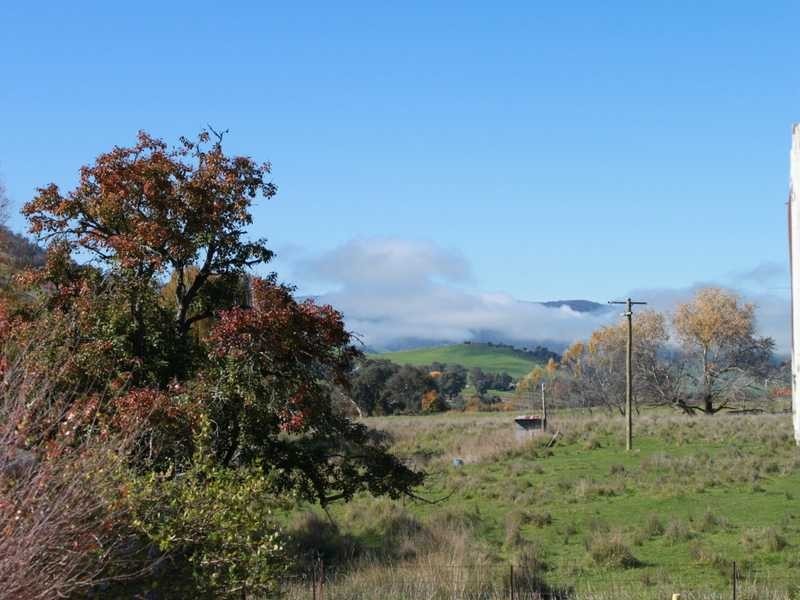 1299 Ournie Road, Tumbarumba NSW 2653