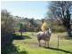 1299 Ournie Road, Tumbarumba NSW 2653