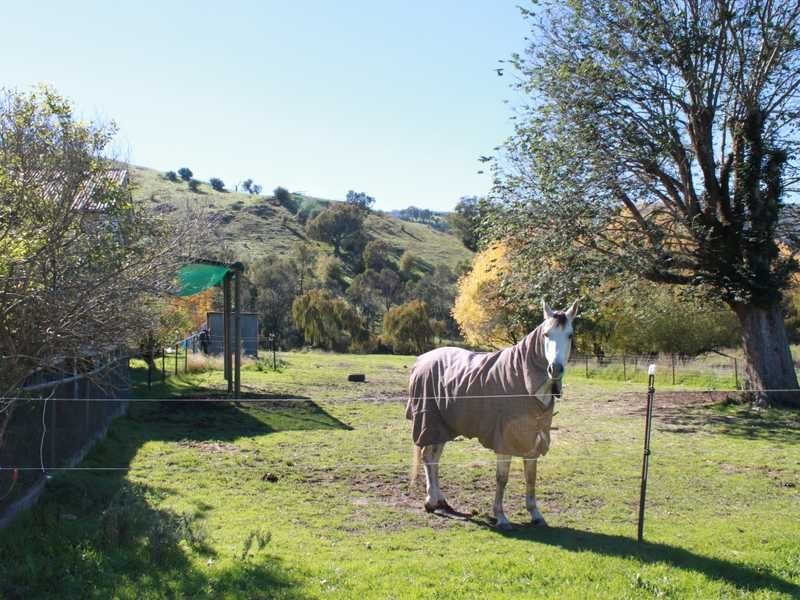 1299 Ournie Road, Tumbarumba NSW 2653