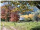 1299 Ournie Road, Tumbarumba NSW 2653