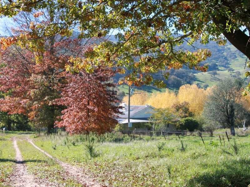 1299 Ournie Road, Tumbarumba NSW 2653