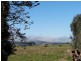 1299 Ournie Road, Tumbarumba NSW 2653
