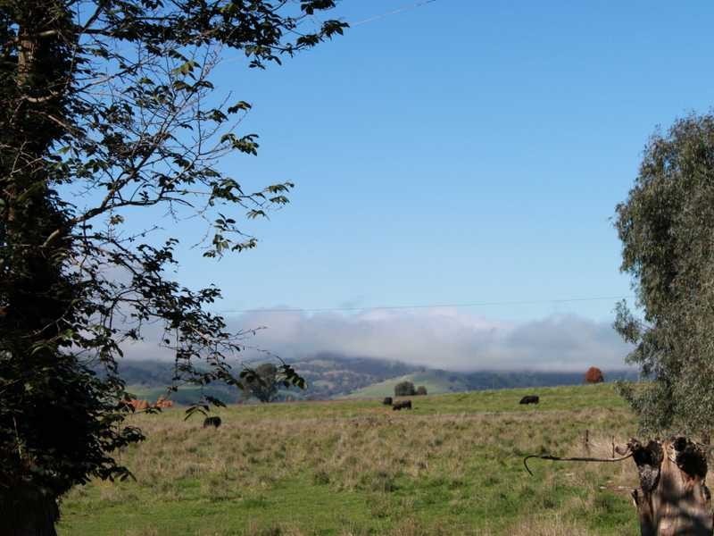 1299 Ournie Road, Tumbarumba NSW 2653