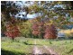 1299 Ournie Road, Tumbarumba NSW 2653