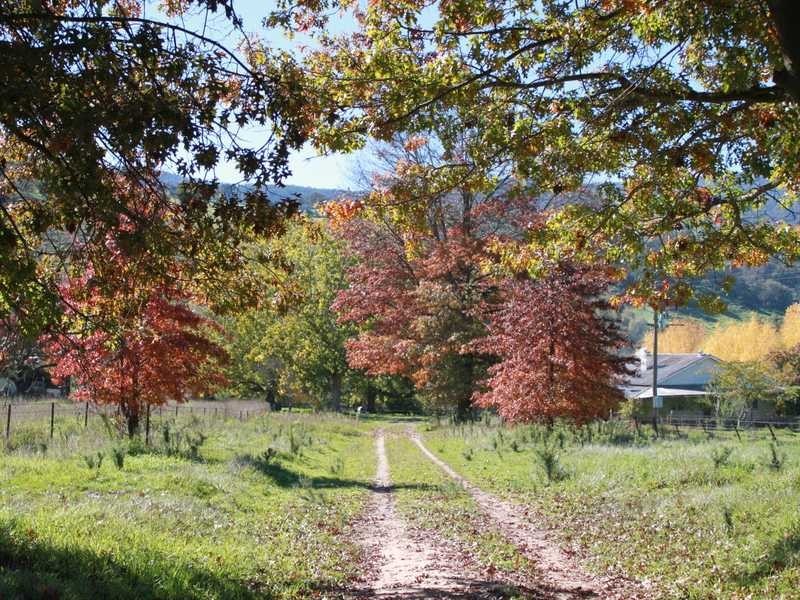 1299 Ournie Road, Tumbarumba NSW 2653