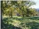 1299 Ournie Road, Tumbarumba NSW 2653