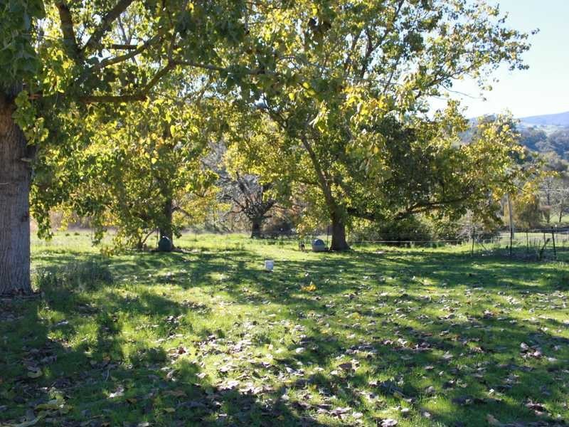 1299 Ournie Road, Tumbarumba NSW 2653