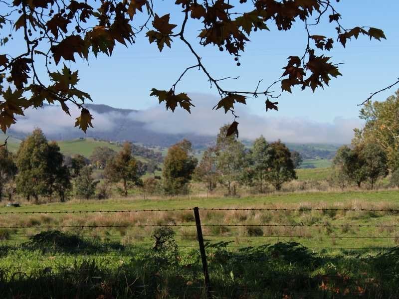 1299 Ournie Road, Tumbarumba NSW 2653