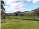 39 Reservoir Lane, Tumbarumba NSW 2653