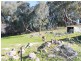 39 Reservoir Lane, Tumbarumba NSW 2653
