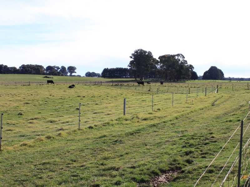 1749 Wagga Road, Tumbarumba NSW 2653