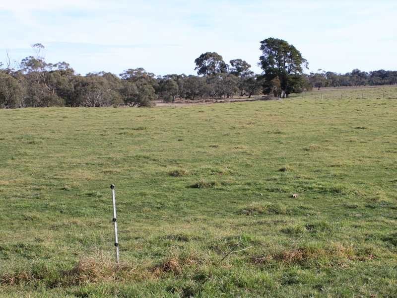 1749 Wagga Road, Tumbarumba NSW 2653