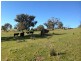Lot 3 Tooma Road, Tumbarumba NSW 2653