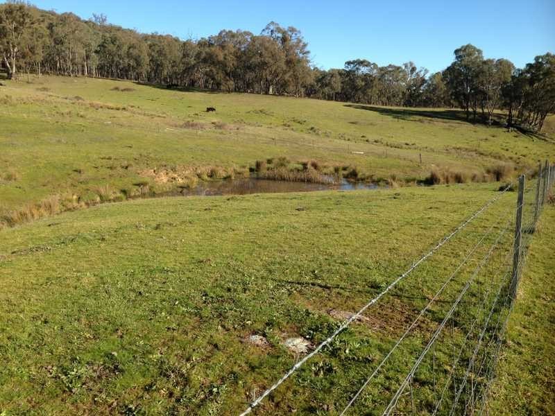 Lot 3 Tooma Road, Tumbarumba NSW 2653