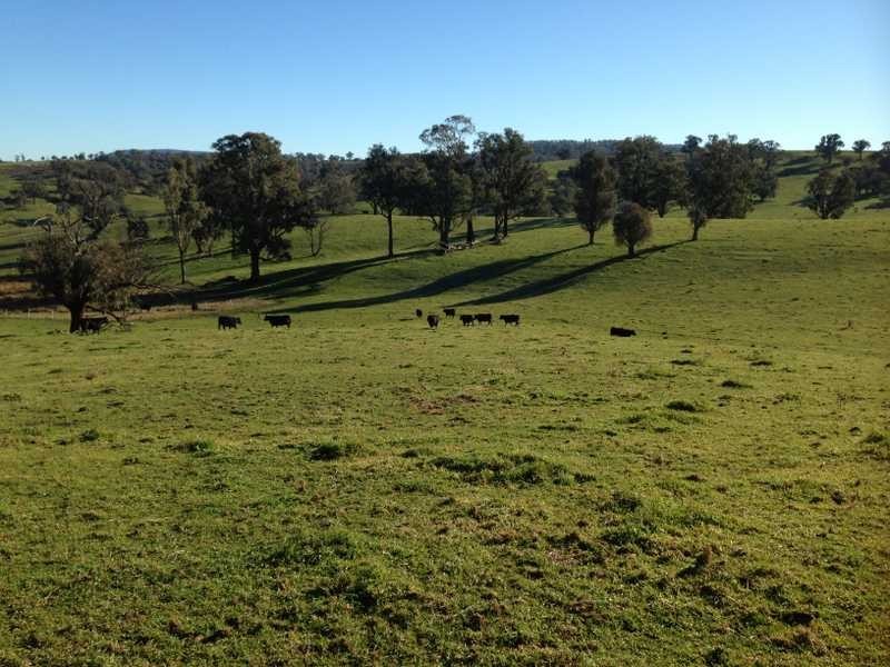 Lot 4 Tooma Road, Tumbarumba NSW 2653