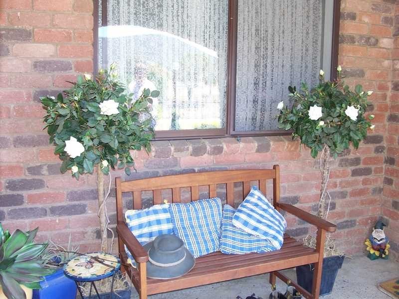 60 Ramsay Road, Tumbarumba NSW 2653