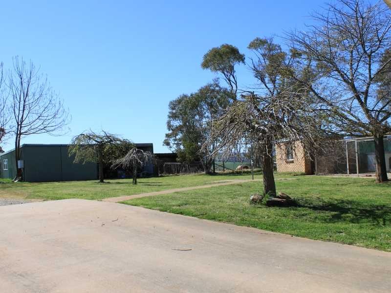 19 Chisholm Street, Tumbarumba NSW 2653