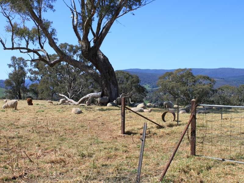 19 Chisholm Street, Tumbarumba NSW 2653