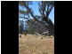 19 Chisholm Street, Tumbarumba NSW 2653