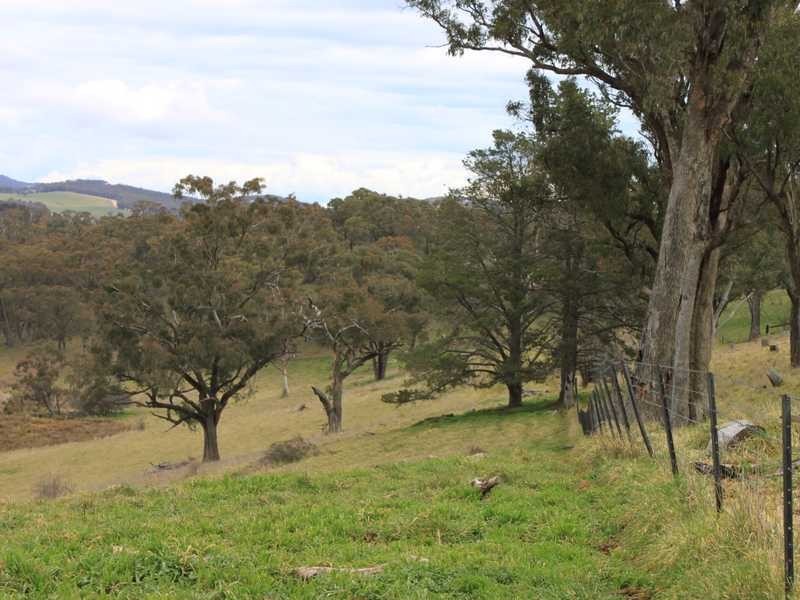 6 Mitchell Street, Tumbarumba NSW 2653