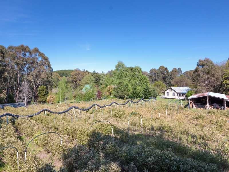 2150 Batlow Road, Laurel Hill NSW 2649