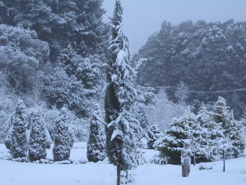 2150 Batlow Road, Laurel Hill NSW 2649