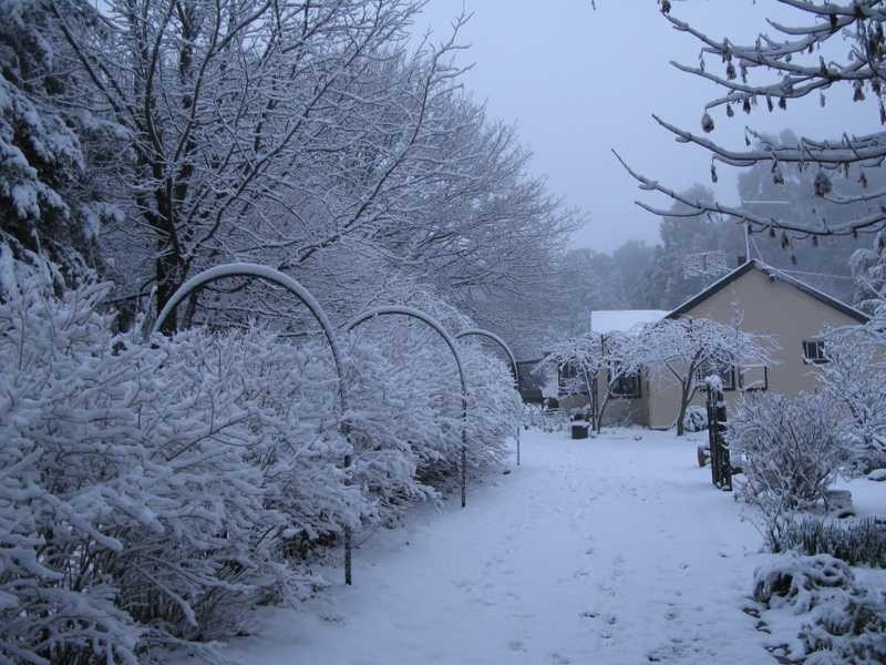 2150 Batlow Road, Laurel Hill NSW 2649