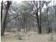 Lot 4 Moody’s Hill Road, Tumbarumba NSW 2653
