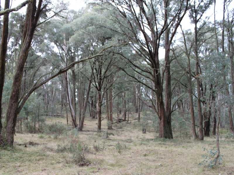 Lot 4 Moody’s Hill Road, Tumbarumba NSW 2653