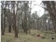 Lot 4 Moody’s Hill Road, Tumbarumba NSW 2653