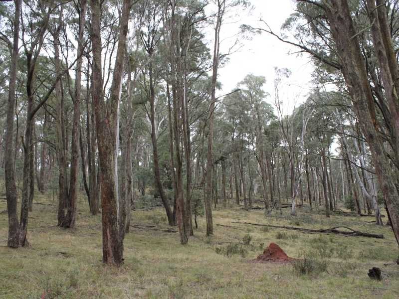 Lot 4 Moody’s Hill Road, Tumbarumba NSW 2653