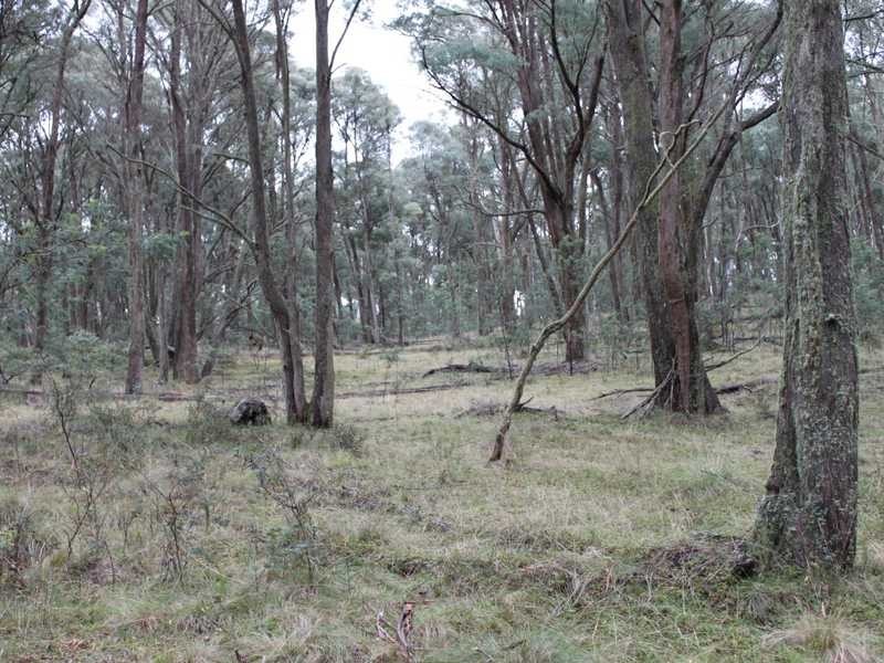 Lot 4 Moody’s Hill Road, Tumbarumba NSW 2653