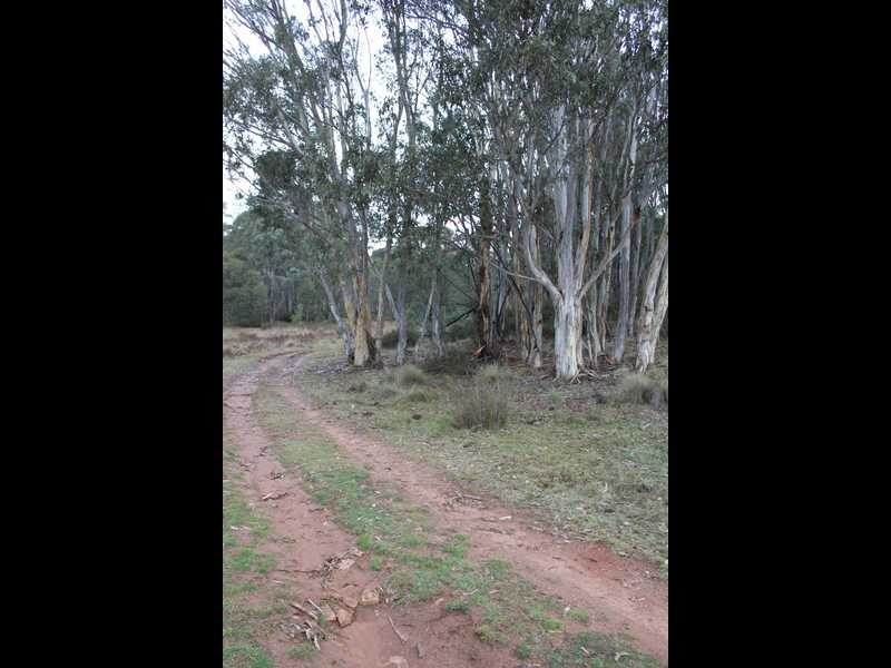 Lot 4 Moody’s Hill Road, Tumbarumba NSW 2653