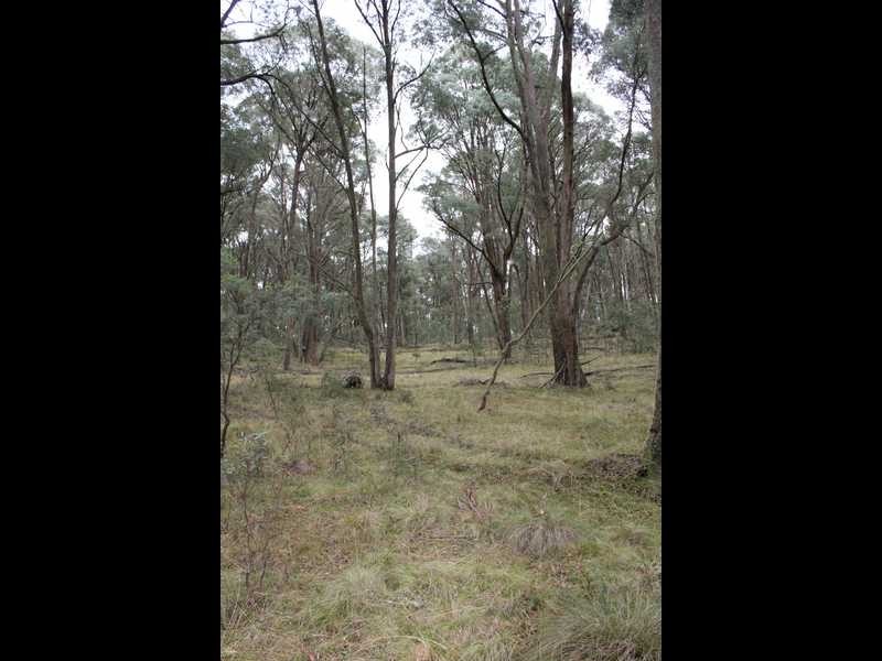 Lot 4 Moody’s Hill Road, Tumbarumba NSW 2653