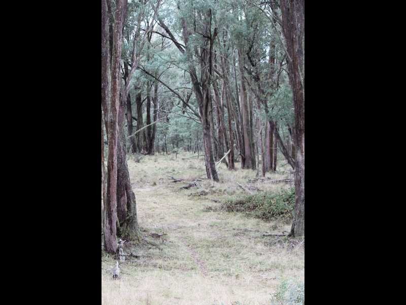 Lot 4 Moody’s Hill Road, Tumbarumba NSW 2653