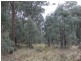 Lot 4 Moody’s Hill Road, Tumbarumba NSW 2653