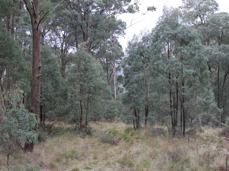 Lot 4 Moody’s Hill Road, Tumbarumba NSW 2653