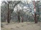Lot 4 Moody’s Hill Road, Tumbarumba NSW 2653