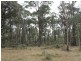 Lot 4 Moody’s Hill Road, Tumbarumba NSW 2653