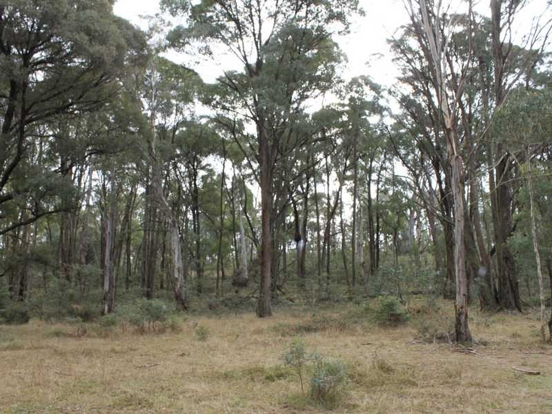 Lot 4 Moody’s Hill Road, Tumbarumba NSW 2653